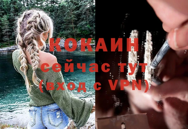 ECSTASY Медвежьегорск