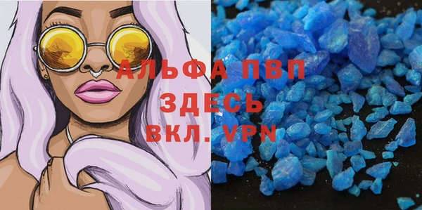 ECSTASY Медвежьегорск