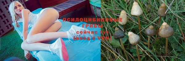 кристаллы Мегион