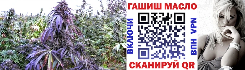 Дистиллят ТГК THC oil  Купить где  Сельцо 