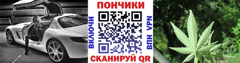 Купить закладки  Сельцо  Бошки Шишки сатива 